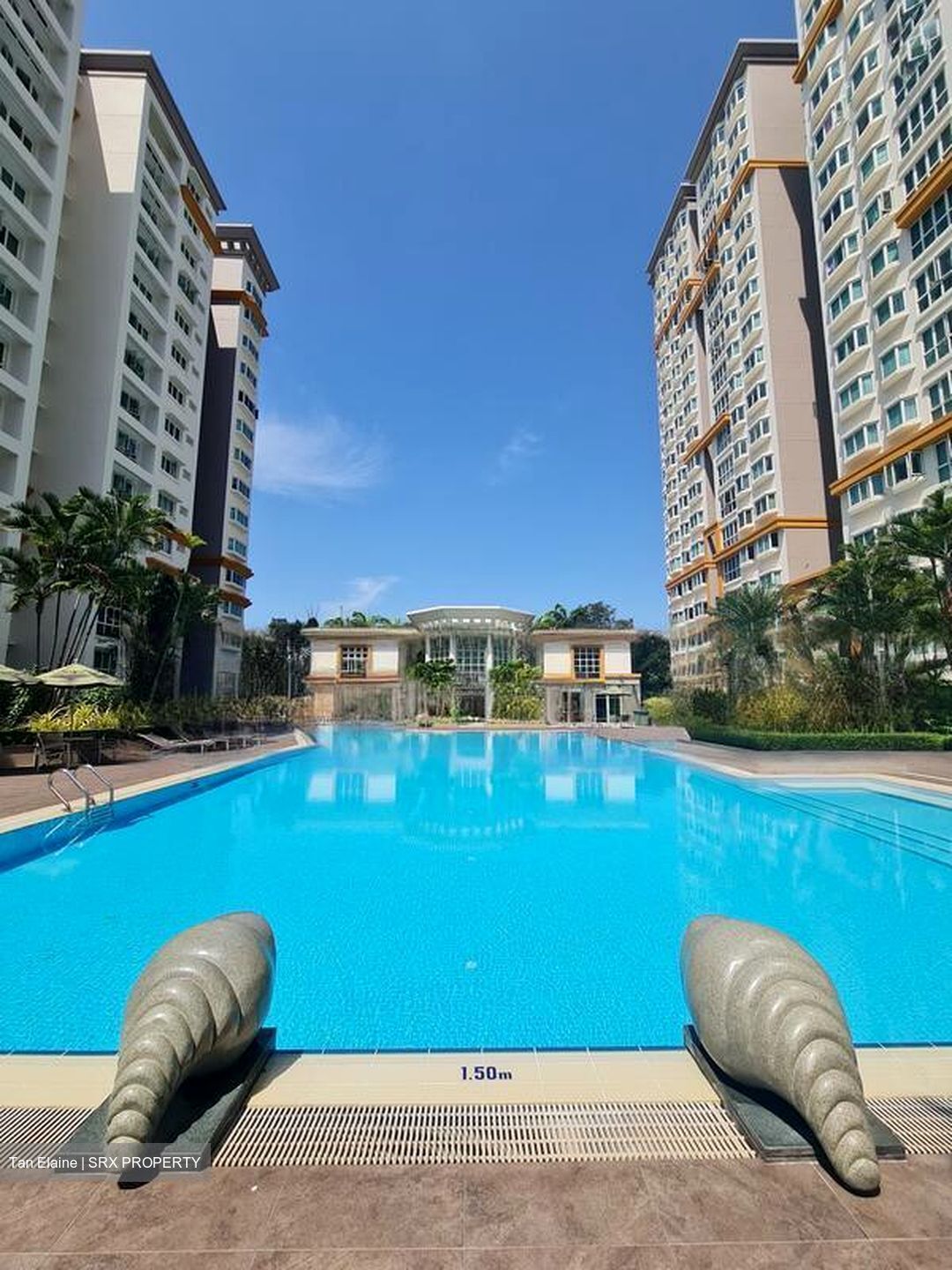 Evergreen Park (D19), Apartment #464234631